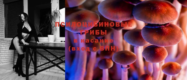 первитин Алексин